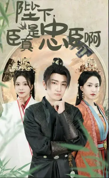 陛下，臣真是忠臣啊 海报