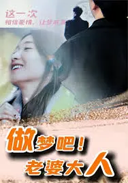 《做梦吧！老婆大人》：奇幻爱情喜剧，梦境与现实的浪漫碰撞