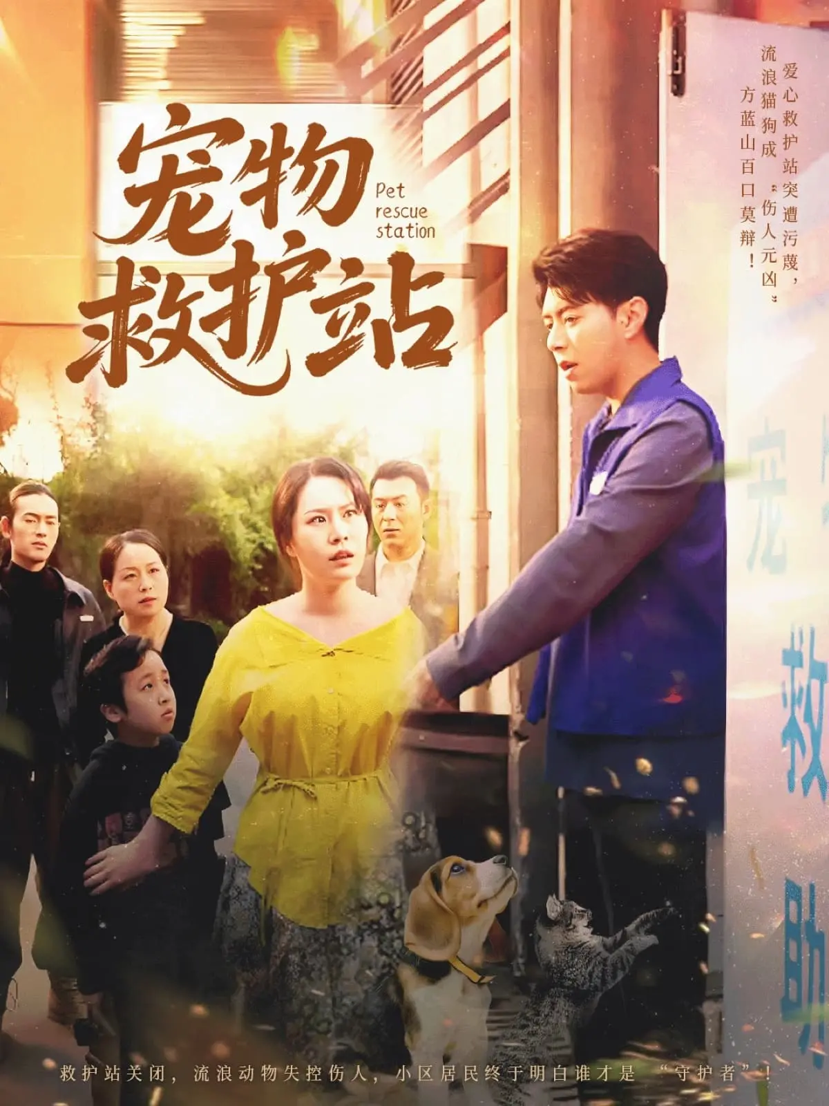 《宠物救护站》：温馨治愈的动物救援之旅，萌宠与爱同行