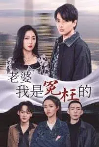 《老婆我是冤枉的》：啼笑皆非！看小男人如何洗刷冤屈
