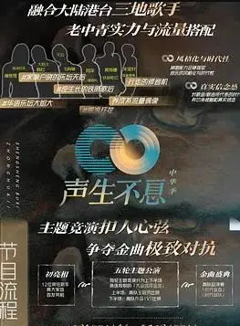 《声生不息·家年华》：用歌声温暖岁末，唤醒家国记忆的音乐盛宴