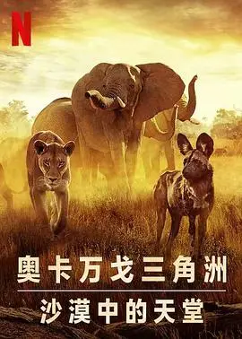 《幸存的天堂》：战火下的坚韧，谱写生命的赞歌
