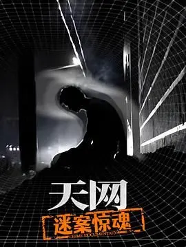 《天网：迷案惊魂》：惊天阴谋，谁是幕后黑手？看正义如何撕破黑暗！