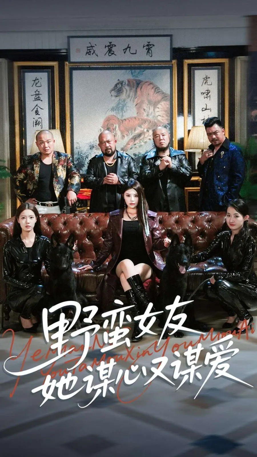《野蛮女友她谋心又谋爱》：当腹黑女王遇上绝世高手，一段爱恨交织的武术传承与时空虐恋